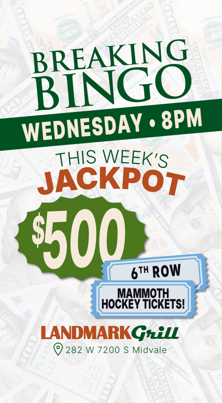 BINGO 500_BINGO STORY
